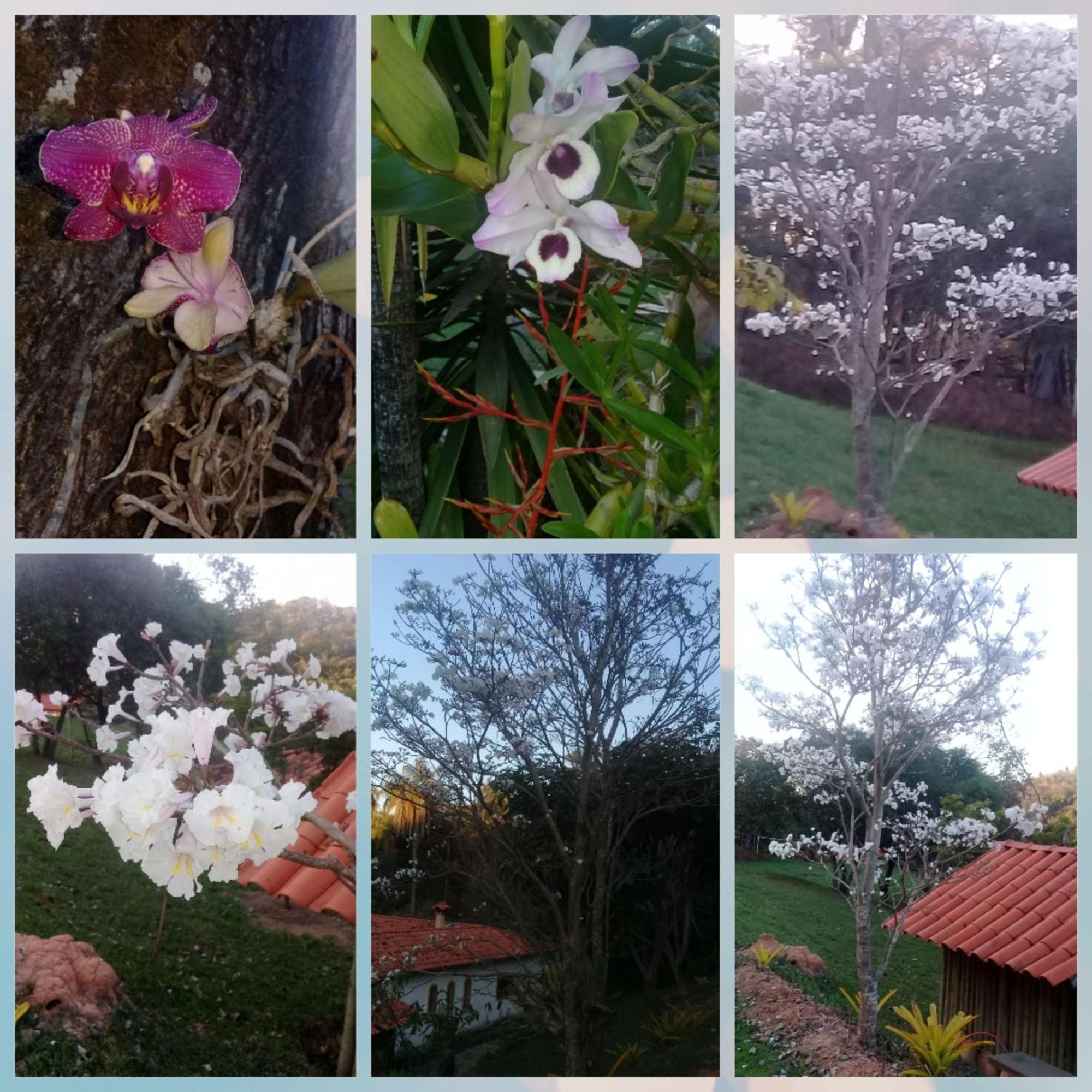 Pousada Rancho Flores Caeté Kültér fotó