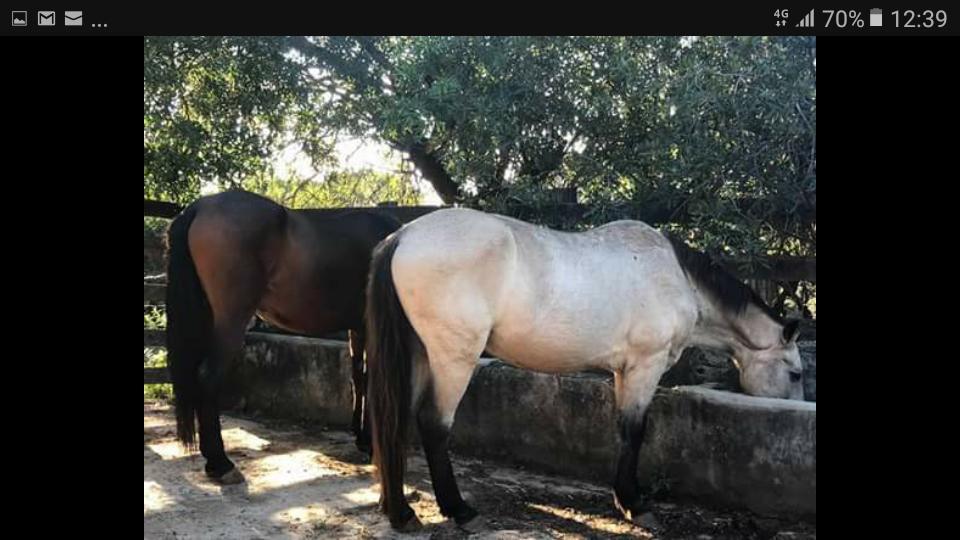 Pousada Rancho Flores Caeté Kültér fotó