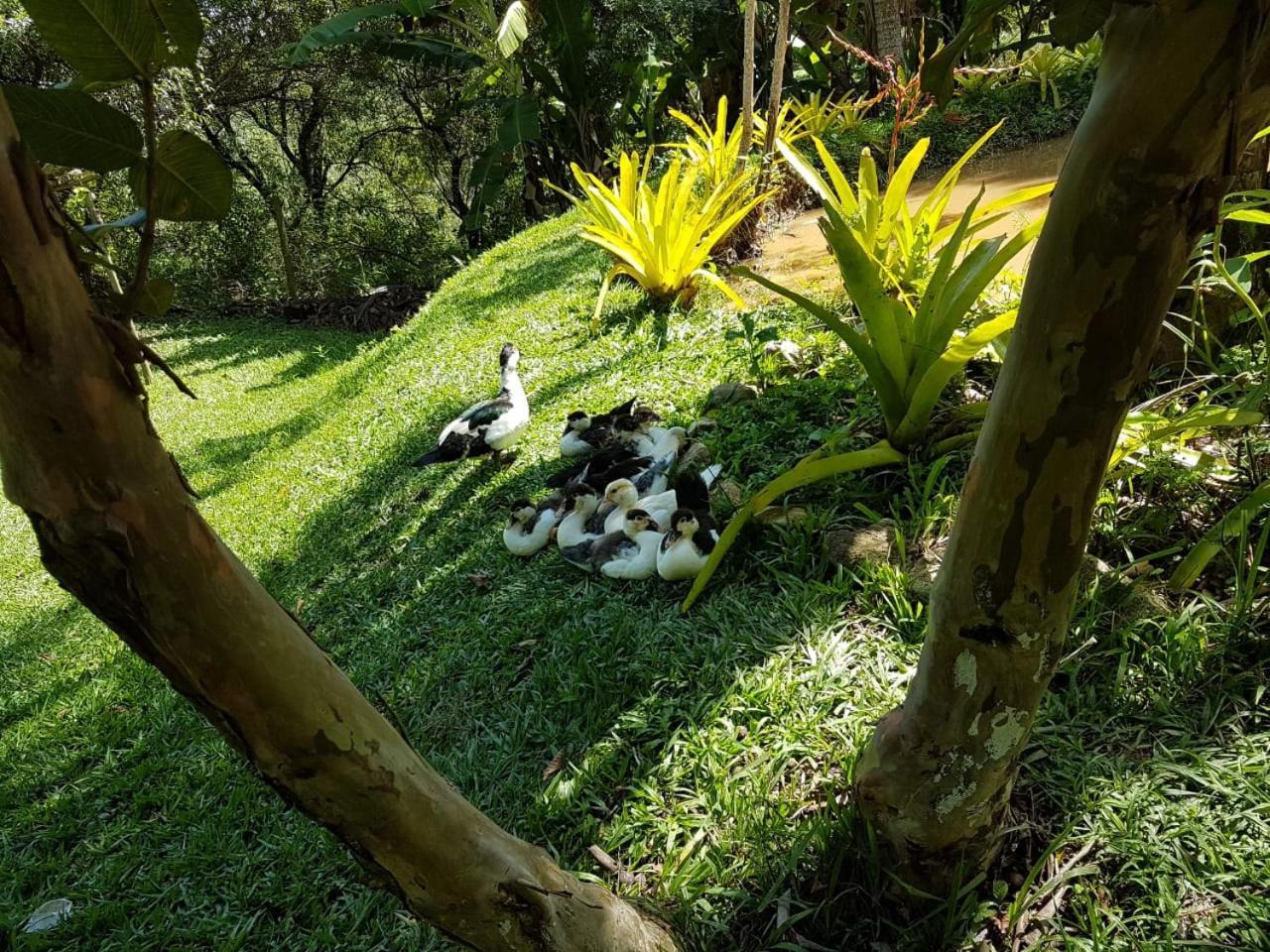 Pousada Rancho Flores Caeté Kültér fotó