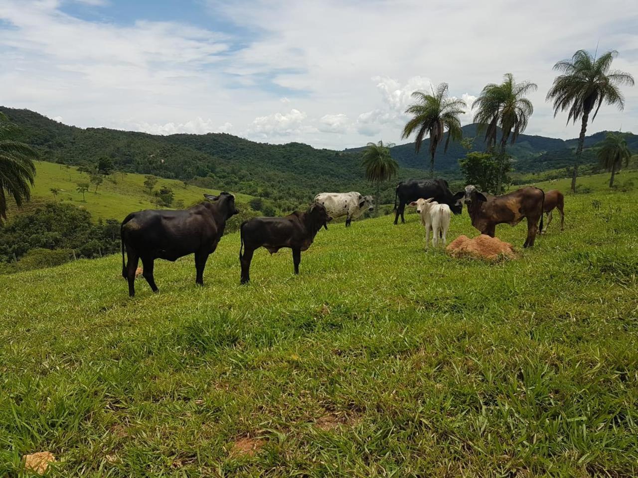 Pousada Rancho Flores Caeté Kültér fotó